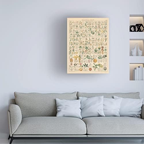 אמנות סימן מסחרי 'תרשים פלורה I' אמנות קנבס מאת פורטפוליו אפל פראי 14x19