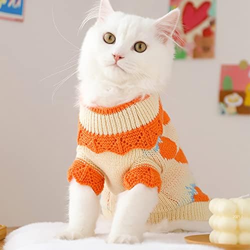 סוודר חתול APOTT שמלה סרוגה מחמד בגדים חורפים חורפים לבגדים בריטים בורמזי קורניש רקס סקוטי קפל סיאמי כתום - L